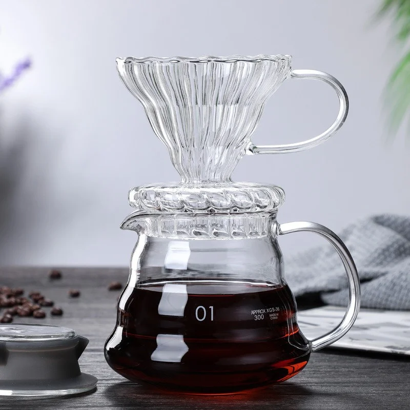 قارورة قهوة يدوية مع أغطية ، غ - مراجعة Coffee Equipment Wdt وسعره